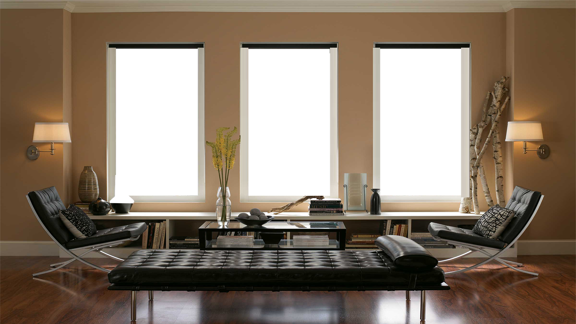 modern living room transparent